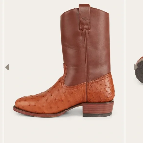 Brand New Premium Ostrich Boots - Picture 7 of 10